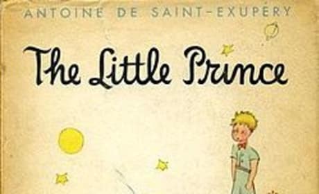 The Little Prince Voice Cast Announced: James Franco, Rachel McAdams, and More!