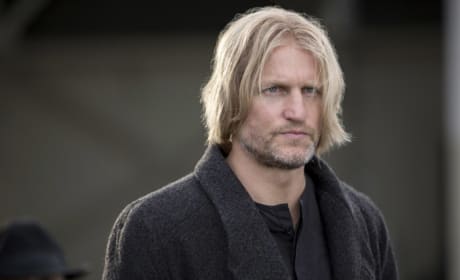 The Hunger Games Catching Fire Woody Harrelson