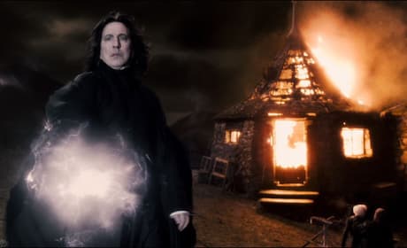 Snape in Action