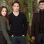 The Cast of Breaking Dawn Part 2