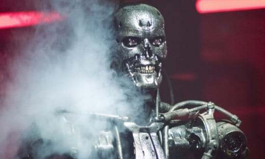 Pic of a Terminator