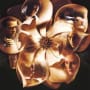 Magnolia Picture