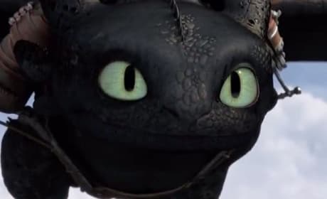 How to Train Your Dragon 2 Toothless