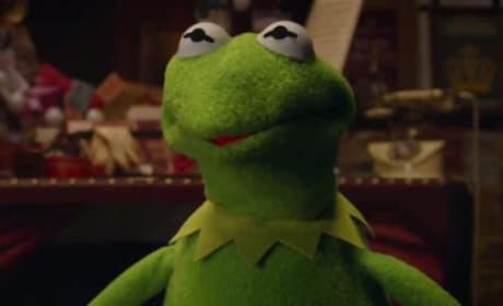 Muppets Most Wanted Star Kermit