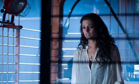 Ashley Greene The Apparition