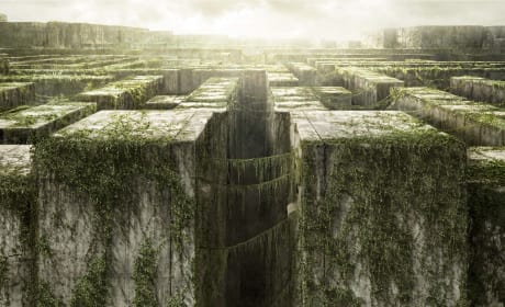 The Maze Runner
