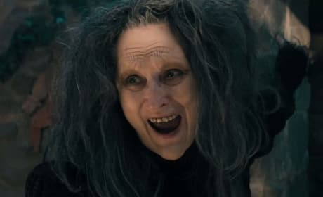 Into the Woods Meryl Streep Is The Witch
