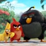 Angry Birds Movie Still