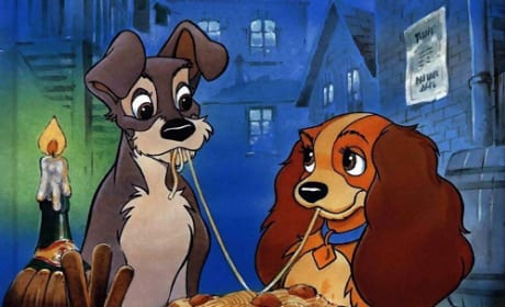 Lady and the Tramp Still