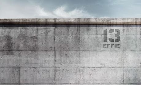 Mockingjay Part 1 Elizabeth Banks Poster