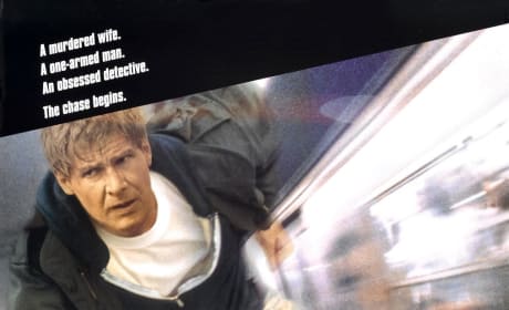 Watch The Fugitive Online