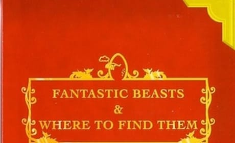 Fantastic Beasts and Where to Find Them: Producer Says Movie Will Be “Very Special”