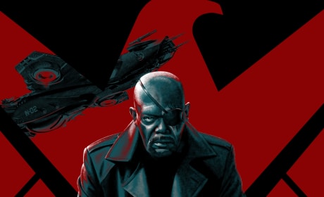 Captain America The Winter Soldier Samuel L. Jackson IMAX Poster