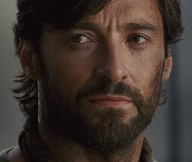 The Drover Picture