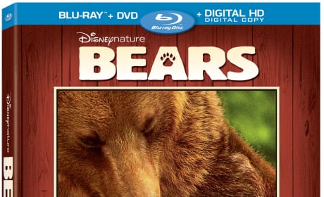 Bears DVD