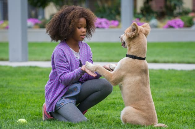 Annie & Sandy