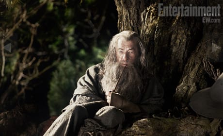 The Hobbit Trailer to Debut Before Tintin?