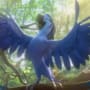 Rio 2 Roberto
