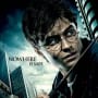 Harry Deathly Hallows Character Poster