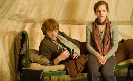 Harry Potter Characters Ron Weasley and Hermione Granger