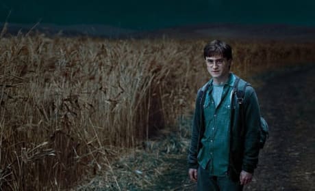 Five More Harry Potter and the Deathly Hallows Stills Released!