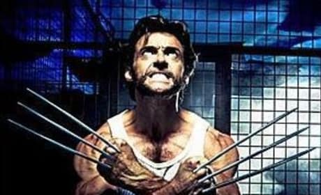 The New Wolverine