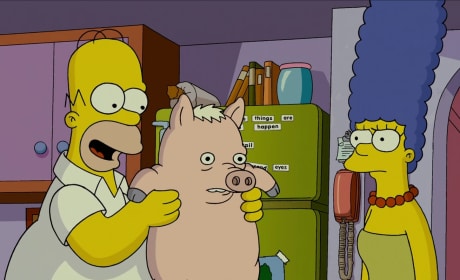The Simpsons Movie Homer Marge