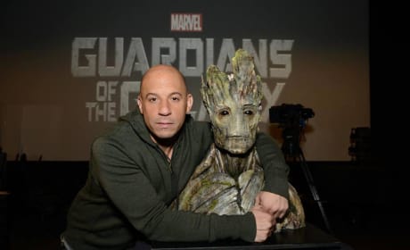 Guardians of the Galaxy: It’s Official, Vin Diesel Is Groot