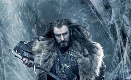 The Hobbit: The Desolation of Smaug Oakenshield Poster