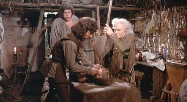 The Princess Bride Mandy Patinkin Billy Crystal
