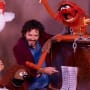 Bret McKenzie and The Muppets