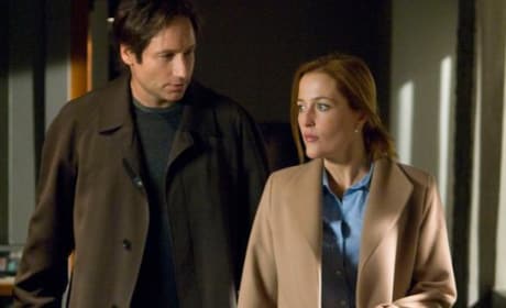 Scully and Mulder