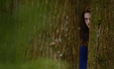 Breaking Dawn Part 2 Trailer: Seeing Red