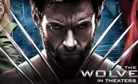 The Wolverine Banner