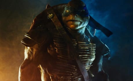 Teenage Mutant Ninja Turtles Michaelangelo