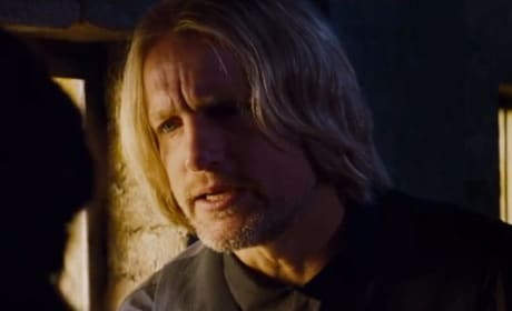 Woody Harrelson Haymitch Catching Fire
