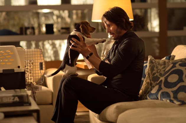 John Wick and His Puppy