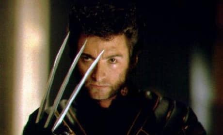 Wolverine's claws