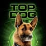 Cats and Dogs Top Dog Poster