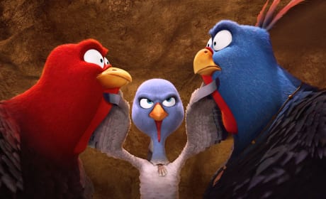 Free Birds: Talking Turkey with Woody Harrelson, Owen Wilson & Amy Poehler