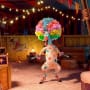 Chris Rock in Madagascar 3
