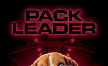 Cats and Dogs Pack Leader Poster