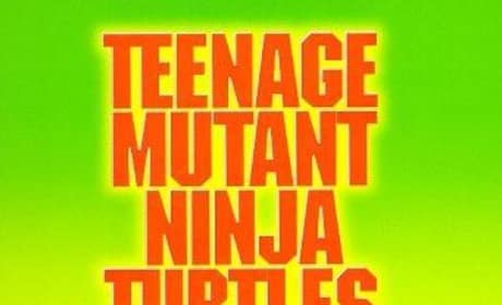 Teenage Mutant Ninja Turtles 1990 Poster