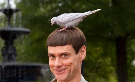 Jim Carrey in Dumb and Dumber To