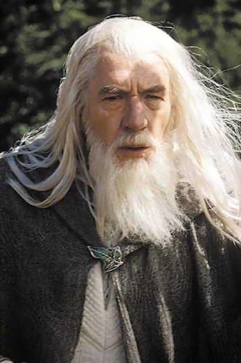 Gandalf the Grey