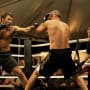 Warrior Movie Review: Families Who Fight