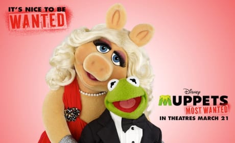 Kermit and Miss Piggy Valentine's Day Card