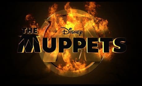 The Muppets Do Hunger Games