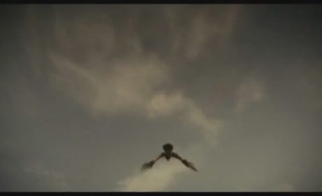 DVD Previews: Immortals, Footloose & Jack and Jill