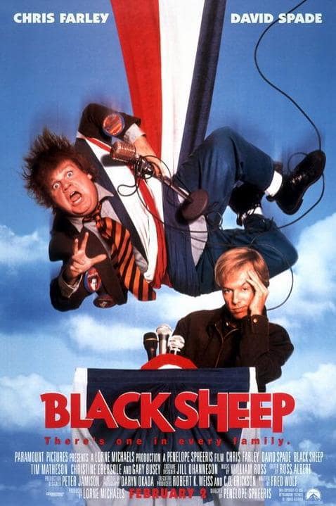 Black Sheep Picture